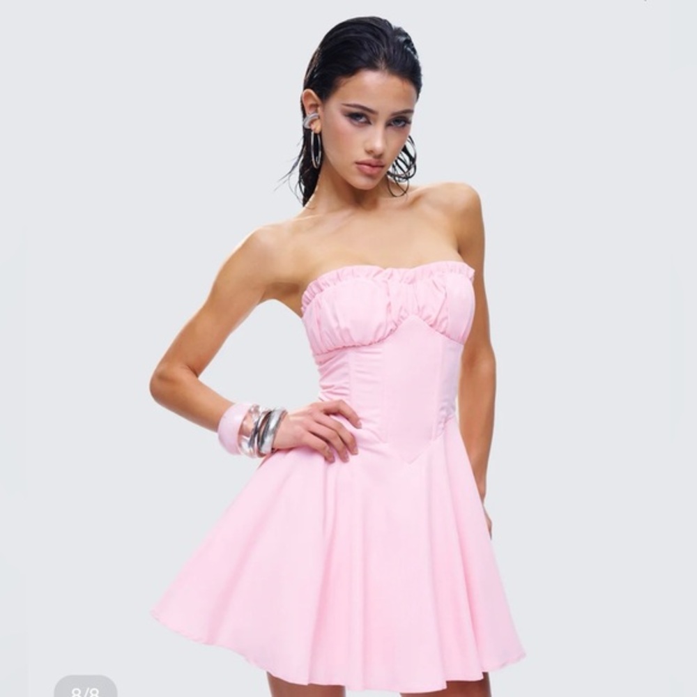 Finesse Bonnie Pink Mini Dress size 2X FE1